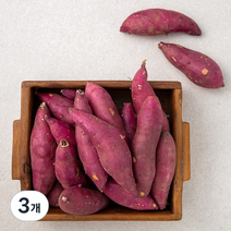 국내산 한입 밤고구마, 1.5kg, 3개