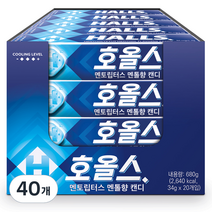 호올스 멘토립터스 멘톨향 캔디, 34g, 40개