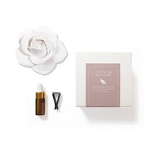 라비다39 리얼장미 대형 플라스터 오너먼트 석고방향제 + 차량용클립 + 리필오일 3ml 세트, 체리블러썸