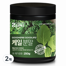 조은약초 케일가루, 250g, 2개