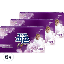 건조기용 피죤 시트 섬유유연제 미스틱레인 본품, 6개, 40매, 40매