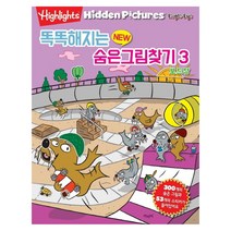 똑똑해지는 New 숨은그림찾기 3: 보드장, 아라미