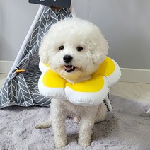 리스펫 반려동물 꽃개꽃냥 넥카라 옐로우 M, 100g, 1개