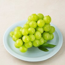 곰곰 영동 샤인머스캣, 500g, 1팩