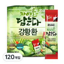 조은약초 자연을 담는다 인도산 강황환 스틱, 120개입, 3g