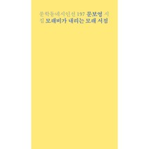 모래비가 내리는 모래 서점, 문보영, 문학동네