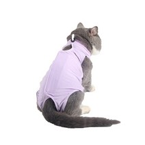 세이코코아 고양이 중성화복, 보라