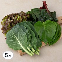 유기농 인증 국내산 시골모둠쌈, 220g, 5개