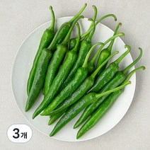 곰곰 국내산 풋고추, 300g, 3개