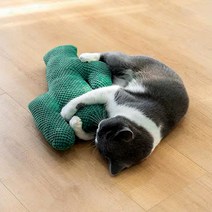 요기쏘 고양이 선인장 캣닢 인형, 녹색, 1세트