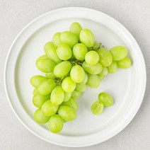 곰곰 씨없는 청포도, 500g, 1개