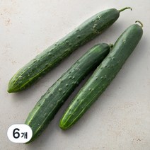 취청오이, 3개입, 6개