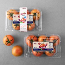 스테비아 토망고(완숙), 1kg, 2팩