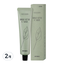 제이숲 딥그린제이 프레쉬 치약, 90g, 2개