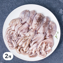 김씨밥 탱글탱글 낙지 (냉장), 500g, 2개