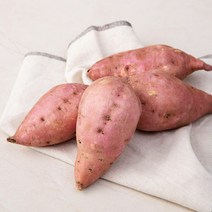 곰곰 호박고구마(햇), 700g, 1개
