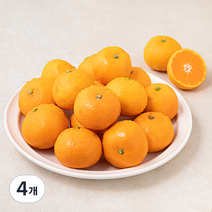 다조은 강서시장 새벽경매 하우스 감귤, 800g, 4개