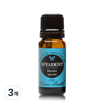 러브바스 아로마 에센셜오일 스피아민트, 10ml, 3개