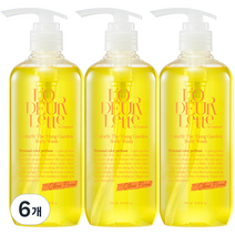 로더렛 인 잉글랜드 컬러핏 더 일랑 가든 바디 워시 시트러스 플로러향, 500ml, 6개