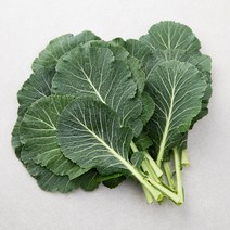 GAP인증 케일, 400g, 1개