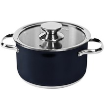 퀸센스 IH 인덕션 모든열원가능 알토 깊은 파스타 사골 찌개 양수 냄비, 24cm, 블랙