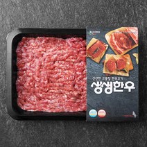 생생한우 1등급이상 다짐육 (냉장), 300g, 1개
