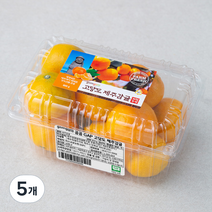 곰곰 GAP 고당도 제주감귤, 800g, 5개