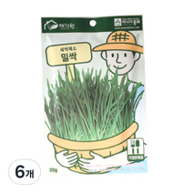 밀싹 캣그라스 30g, 6개, 밀