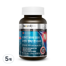 내츄럴플러스 조인트 엠에스엠 1500, 5개, 165g