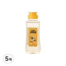오색설악 사양벌꿀, 300g, 5개