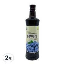 애드퓨어 블루베리 베이스, 2개, 970ml