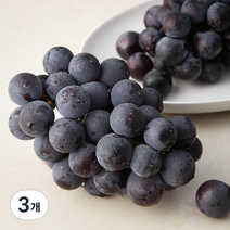 하이프루츠 알이 굵은 거봉포도 2~3입, 1kg, 3개