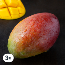 더로얄 브라질 애플망고, 480g(1입), 3팩