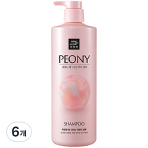 미쟝센 펄 샤이닝 리페어 샴푸 피오니향, 1000ml, 6개