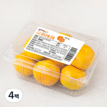 곰곰당도선별감귤, 500g, 4팩