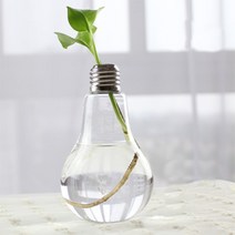 ZY 수경재배 미니화분 전구, 2개