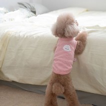 반려동물 흰둥이 와플 나시티, 핑크