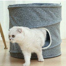 딩동펫 고양이 3in1 둥지하우스, 그레이
