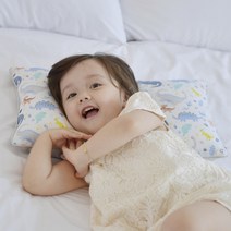 아띠블랑 유아용 인견 쿨 베개 + 베개커버 2p 세트, 블루다이노(커버)