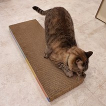 PETCA 고양이 스크래쳐 특대형 평판형, 혼합색상, 1개