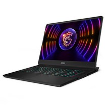 MSI 벡터 GP77 13VF-i7 QHD 노트북 17.3, 블랙, 코어i7, 512GB, 16GB, Free DOS, MS-17K