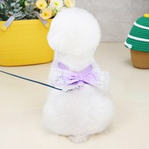 딩동펫 강아지 지젤 레이스 리본 하네스, 퍼플