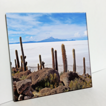 HTP 소금사막에서선인장 타일 C789