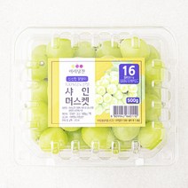 아리당찬 비파괴 당도선별 알알이 샤인머스켓, 1팩, 500g