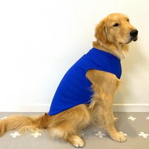 도기스타 중대형견 쫀쫀 민소매 티셔츠, 블루