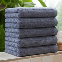 기라로쉬 프리미엄 텐센모달 더블라인 호텔타월 200g, 그레이, 5개