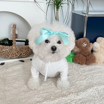 바이담수미 강아지 퐁퐁 레이스 올인원, 아이보리