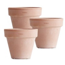 도시정원 디그리아 바소 토분 3p, 아레나