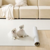 울리 반려동물 미끄럼방지 매트, 솔리쉬