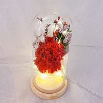 꽃이있는풍경 프리저브드 레드 카네이션 led유리돔 소, 레드(카네이션), 랜덤발송(주머니)